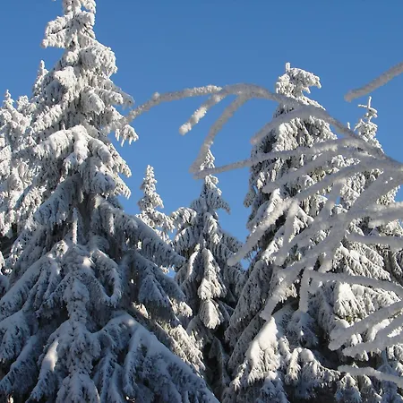 Haus Ohragrund Appartement